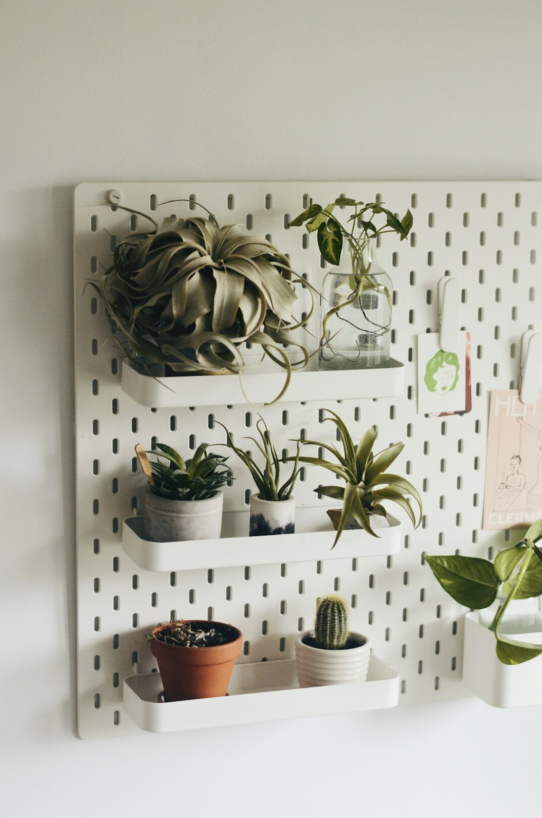 Printed checklist pinned on a wall next to potted plants
