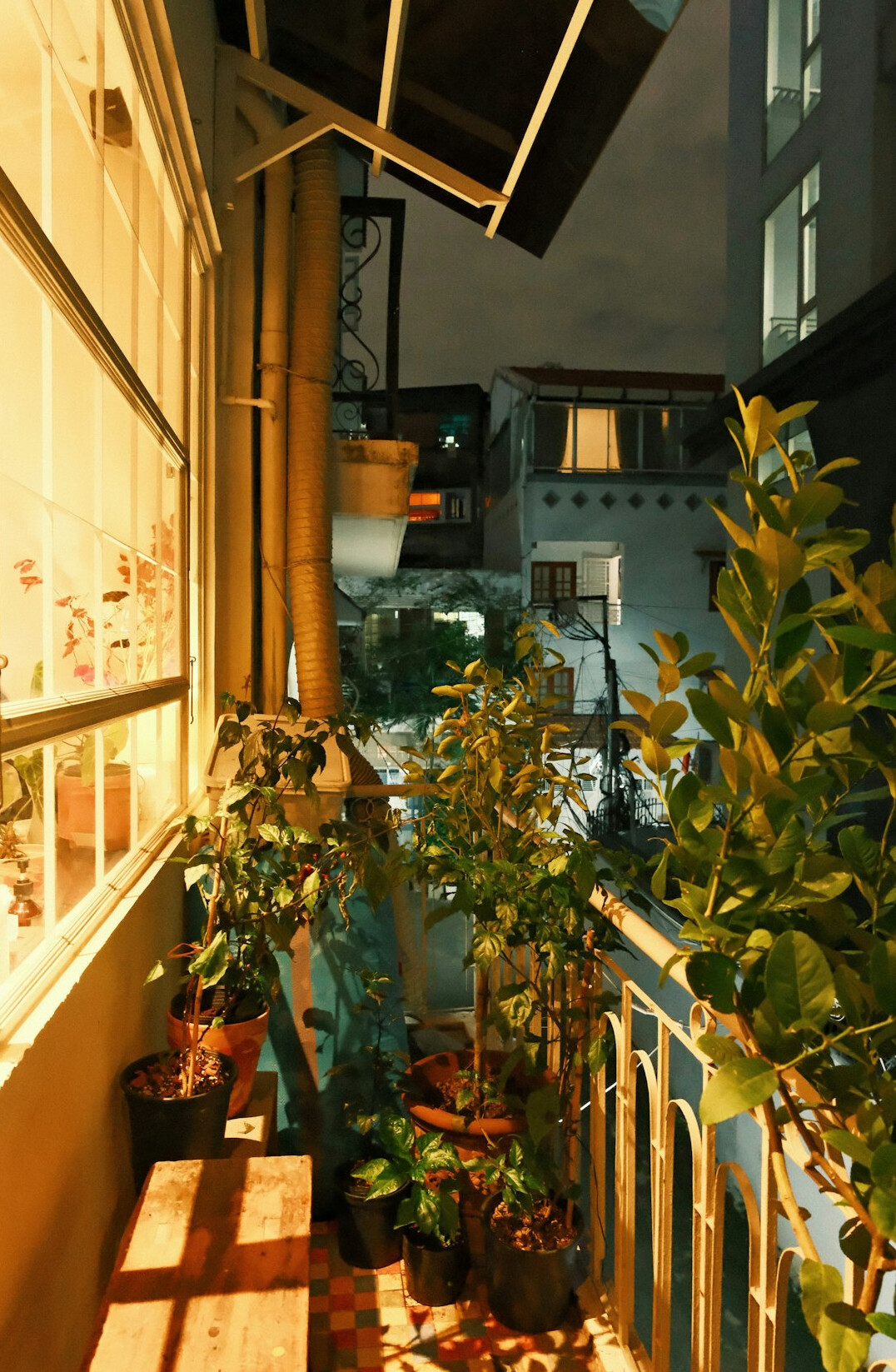 Small apartment balcony with potted herbs and green plants