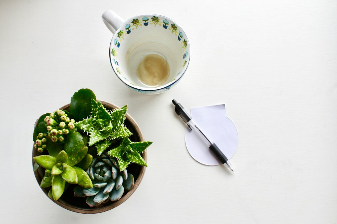 Clipboard with a plant care checklist, pen and a small succulent on a table