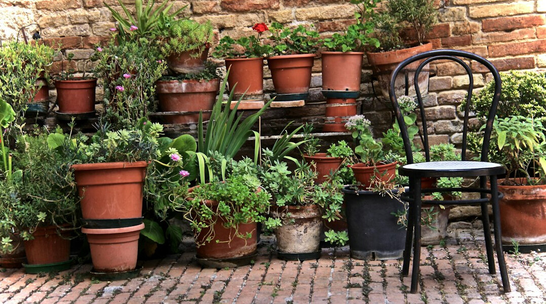 Patio with potted plants and herbs along a brick wall