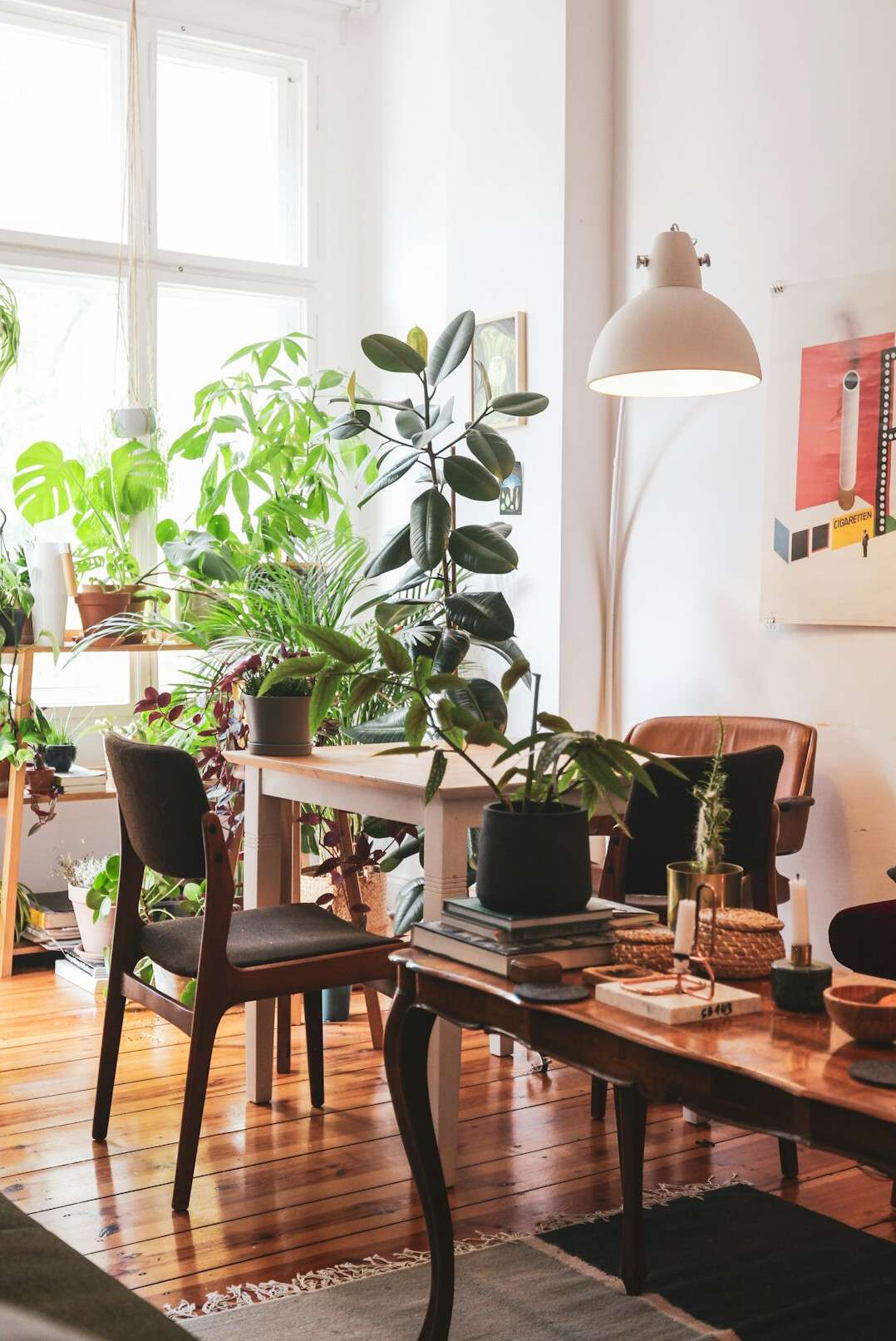 modern living room with indoor plants