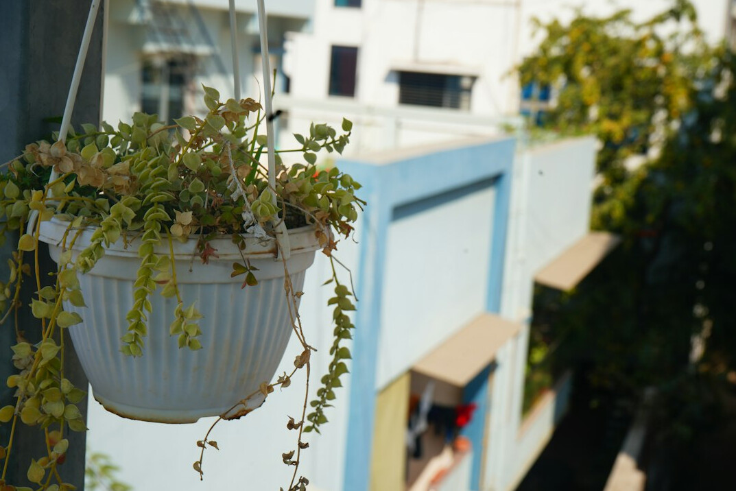 small balcony with potted plants