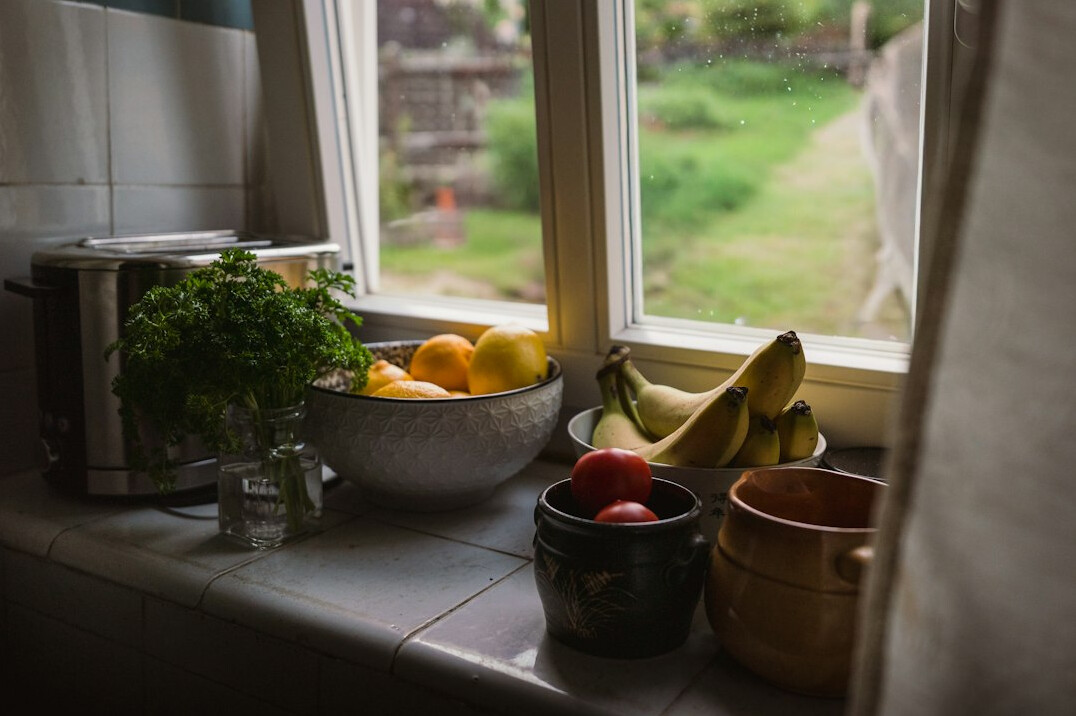 fresh basil plant on windowsill