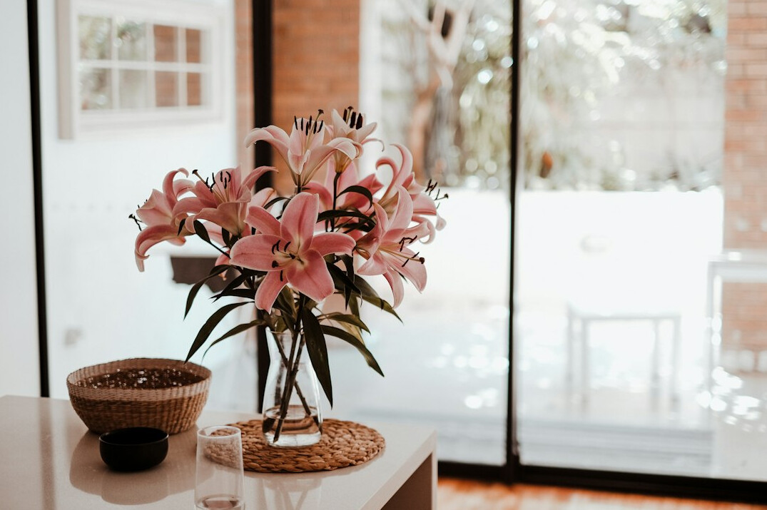 peace lily plant in living room