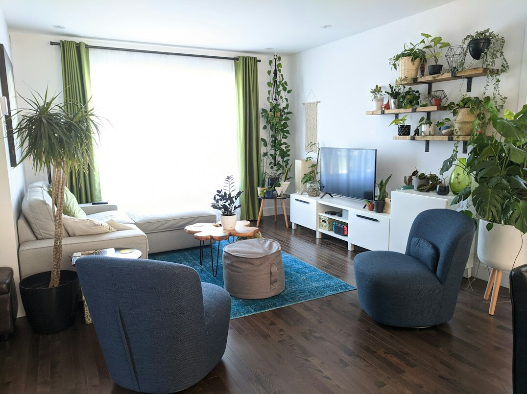 modern living room with indoor plants